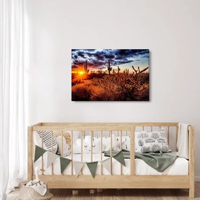 Obraz - Zlatá hodinka púšte (90x60 cm)