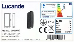 Lucande Lucande - LED Vonkajšie nástenné svietidlo CORDA 2xLED/3W/230V IP54 LW0264