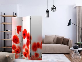Artgeist Paraván - Sleepy poppy's land [Room Dividers]