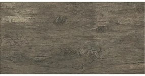 Dlažba imitácia dreva Radice Noce 31x62 cm