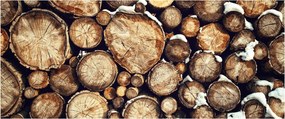 Obraz - Drevo v snehu (120x50 cm)