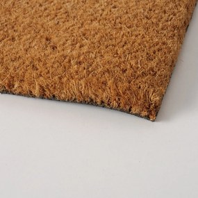 Vnútorná rohožka Argie, 40x60 cm