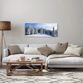 Obraz - Zima v lesoch (120x50 cm)