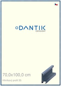 DANTIK rám na obraz 70x100 | ALU Dýha barevná modrá královská (Plexi Čiré)