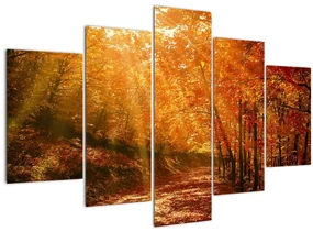 Obraz jesenného lesa (150x105 cm)