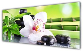 Obraz plexi Orchidea kamene zen bambus 125x50 cm
