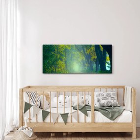 Obraz cesty lemovanej stromami (120x50 cm)