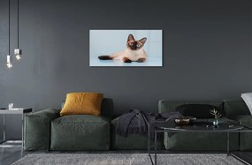Sklenený obraz ležiace mačka 140x70 cm