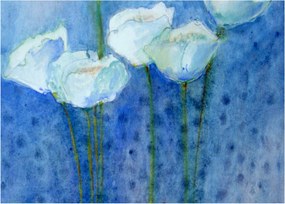 Obraz - Biele tulipány (70x50 cm)