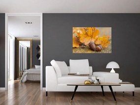 Obraz - Jesenné žalude (90x60 cm)
