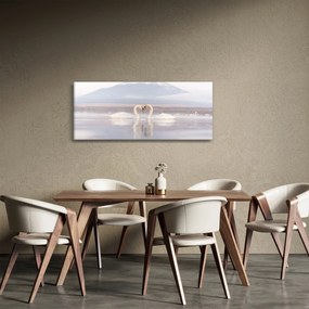 Obraz - Zamilované labute (120x50 cm)