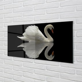 Sklenený obraz Swan v noci 140x70 cm