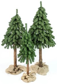 Limpol Vianočný stromček horský smrek 1,50 m