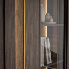 VITRÍNA ELVIRA DUB DUNIN LED 94 x 196 cm