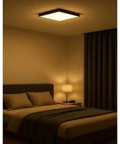 LED stropné svietidlo LED/32W/230V 3000/4000/6500K 40x40 cm čierne