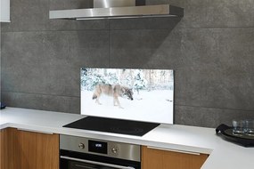 Nástenný panel  Vlk v zime lese 125x50 cm