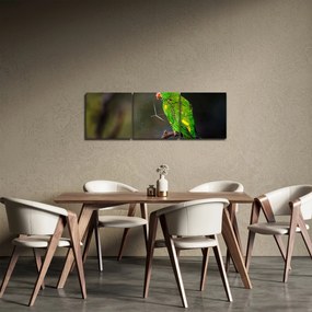 Obraz papagája na vetve (s hodinami) (90x30 cm)