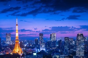 Fotografia Tokyo night view, Takao Kataoka