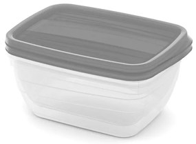 Curver Súprava potravinových dóz VEDO 2x1,3L