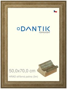 DANTIK rám na obraz 50x70 | HRAD stříbrná patina (Plexi Čiré)