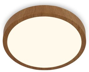 Brilo - LED Stropné svietidlo RUNA LED/12W/230V