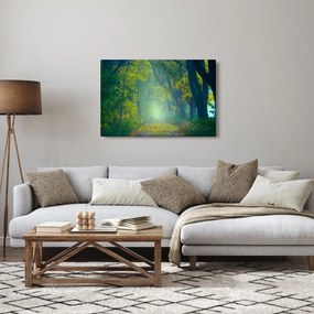 Obraz cesty lemovanej stromami (90x60 cm)