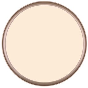 Globo 41759-24 - LED Stmievateľné stropné svietidlo MANNI LED/24W/230V + DO