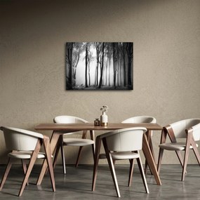 Obraz - Vlk v temnom lese (70x50 cm)