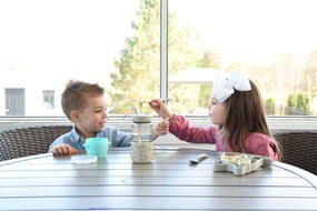 Silikónový delený tanierik s prísavkou - buldoček