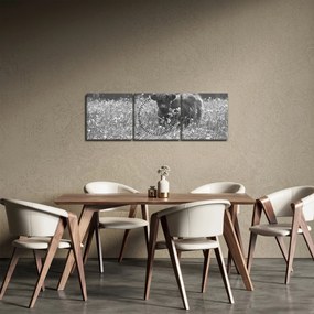 Obraz - Škótska krava 5, čiernobiela (s hodinami) (90x30 cm)