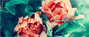 Obraz jarných kvetov (120x50 cm)