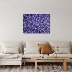 Obraz zasnežených stromov (70x50 cm)
