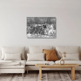 Sklenený obraz - Líška v zime (70x50 cm)