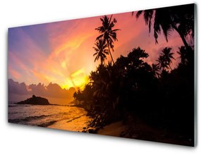Sklenený obklad Do kuchyne More slnko palmy krajina 100x50 cm