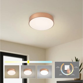 BRILAGI - LED stropné svietidlo POOL LED/24W/230V 3000/4000/6000K priemer 20 cm bronzové