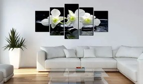 Obraz - Melancholic orchids Veľkosť: 200x100, Verzia: Premium Print