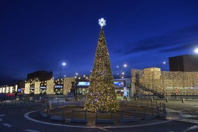 Vianočný stromček Kužeľ 370cm