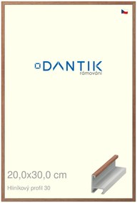DANTIK rám na obraz 20x30 | ALU Dýha ořech lak matný (Sklo Čiré)