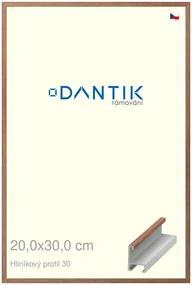 DANTIK rám na obraz 20x30 | ALU Dýha ořech lak matný (Sklo Čiré)