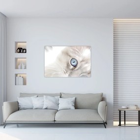 Obraz - Mačka s modrými očami (90x60 cm)