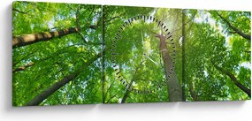Obraz - Les (s hodinami) (90x30 cm)