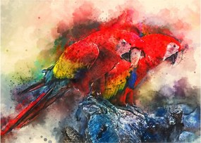 Sklenený obraz červených papagájov ara (70x50 cm)