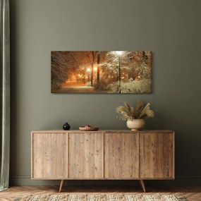 Obraz - Zasnežený park (120x50 cm)
