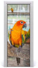 Samolepiace fototapety na dvere papagáj 75x205 cm
