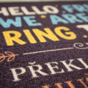 Mercury Flooring, Rohožka HELLO FRIENDS 40x60 cm - na von aj na doma, 40x60, šedá