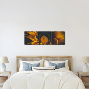 Obraz - Slnečnica v čiernom pozadí (s hodinami) (90x30 cm)