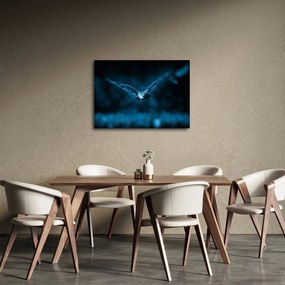 Obraz letiacej sovy (70x50 cm)