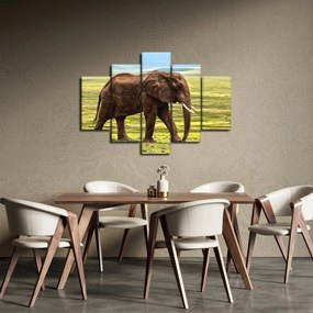 Obraz slona (150x105 cm)