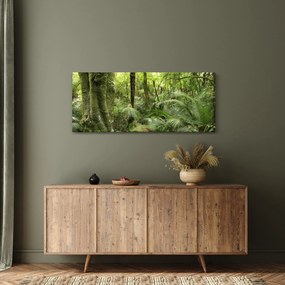Obraz Tropický dažďový prales (120x50 cm)