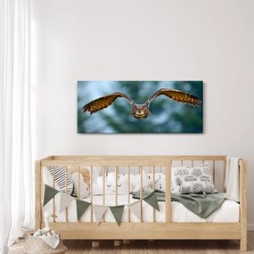 Obraz - Sova pri lete (120x50 cm)